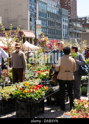 Union Square Greenmarket, NYC Stockfoto