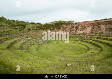 Moray Inka landwirtschaftliche Labor Ruinen in der Nähe von Maras, Heiliges Tal, Peru, Südamerika Stockfoto