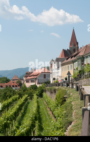 Weissenkirchen in der Wachau, Wachau, Österreich. Stockfoto