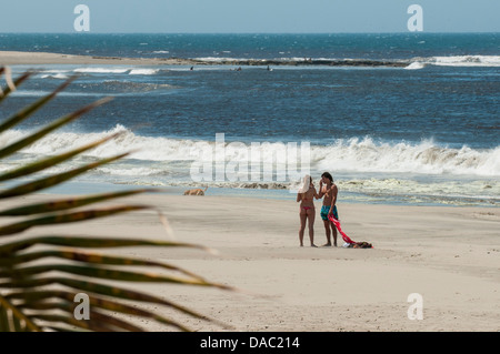 Paar Palmzweige auf Los Organos Beach in der Nähe von Mancora, Peru. Stockfoto