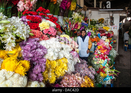 Inca Frau Blume Anbieter eher verkauft Verkauf von Blumen floral produzieren Stall Shop auf dem lokalen Markt in der Innenstadt von Cusco, Peru. Stockfoto