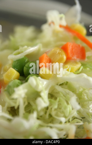 Frisches Gemüse auf Salat-Teller Stockfoto