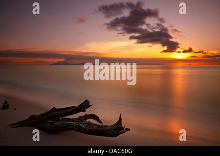 Goldener Sonnenuntergang nach einem Montserrat Vulkanausbruch von Antigua, die Insel Redonda am Horizont gesehen. Stockfoto