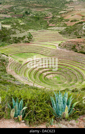Alten Moray Inka Reihenhaus landwirtschaftliche Labor Steinterrassen Ruinen bleibt in der Nähe von Maras, Heiliges Tal, Peru. Stockfoto
