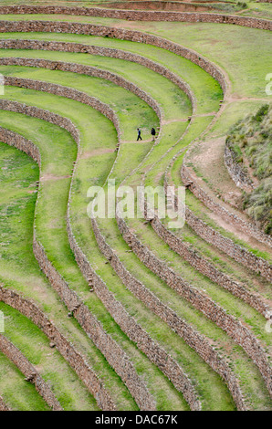 Alten Moray Inka Reihenhaus landwirtschaftliche Labor Steinterrassen Ruinen bleibt in der Nähe von Maras, Heiliges Tal, Peru. Stockfoto