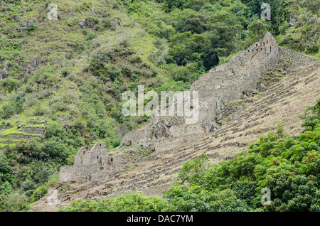 Alten Inka Inka Ruinen Reste Terrassen entlang der Vilcanota River Sacred Valley in der Nähe von Aguas Calientes, Peru. Stockfoto
