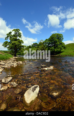 Ansicht des Flusses Wharfe auf den Dales so Long Distance Wanderweg in der Nähe von Addingham Wharfedale Yorkshire Stockfoto