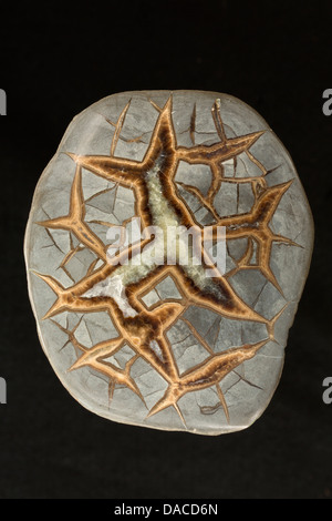 Querschnitt Utah Septarian Knötchen, Utah, eine Art von Geode, gefunden ungefähr 15 Meilen östlich von Zion Nationalpark Stockfoto