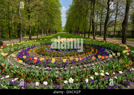 Blumenbeete im Hofgarten, Ansbach, Deutschland, Europa. Stockfoto