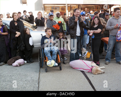 Halloween-Block party im Kensington Abschnitt von Brooklyn, NY, 2010. Zuschauer beobachten kostümierte, pet-Wettbewerb. Stockfoto