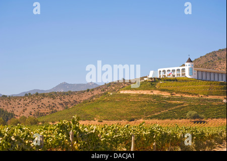 Indómita Weinberg, Chile Stockfoto