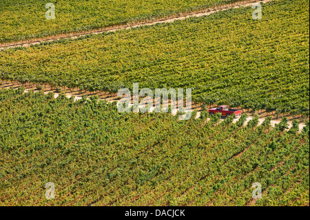 Indómita Weinberg, Chile Stockfoto