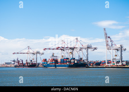 Entladung Container-Schiffe, Hafen von Brisbane, Queensland, Australien Stockfoto