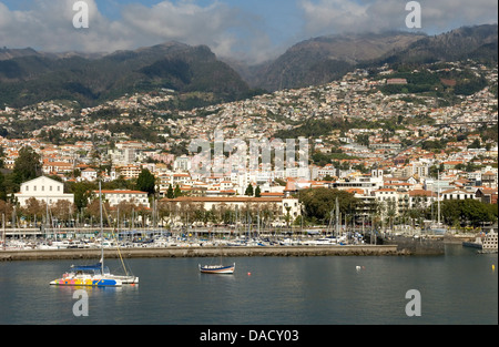 Funchal, Madeira, Portugal, Atlantik, Europa Stockfoto