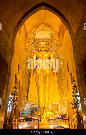 Goldene Buddha-Statue stehend 33ft hoch in Ananda Paya, Bagan, Myanmar (Burma), Südost-Asien Stockfoto