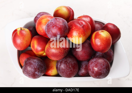 Nektarinen und Zwetschgen in einer Keramikschale. Stockfoto