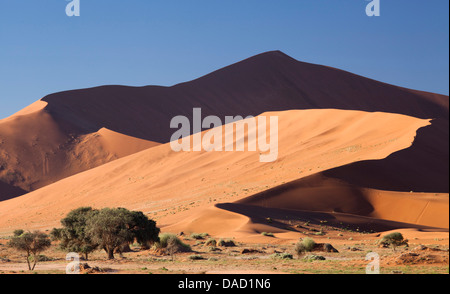 Alten orangefarbenen Sanddünen der Namib-Wüste bei Sossusvlei, in der Nähe von Sesriem, Namib Naukluft Park, Namibia, Afrika Stockfoto