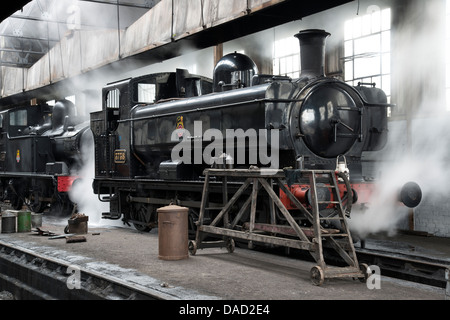 Wunderschön bemalte sitzt Pannier Tank-Dampflokomotive sanft dünsten in der Pflege Schuppen in Didcot Railway Centre Stockfoto