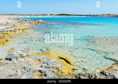 Ses Illetes Strand, Formentera, Balearen, Spanien, Mittelmeer, Europa Stockfoto