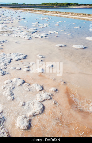 Salzsee, Formentera, Balearen, Spanien, Mittelmeer, Europa Stockfoto