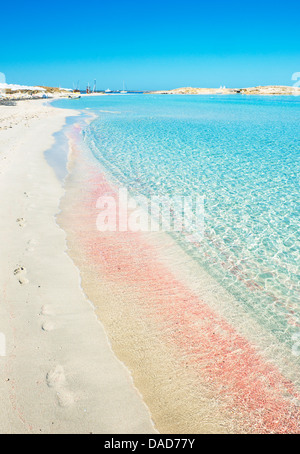 Ses Illetes Strand, Formentera, Balearen, Spanien, Mittelmeer, Europa Stockfoto