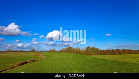 Deich des Flusses Weser im Herbst, Neuenkirchen, Osterholz, Niedersachsen, Deutschland Stockfoto