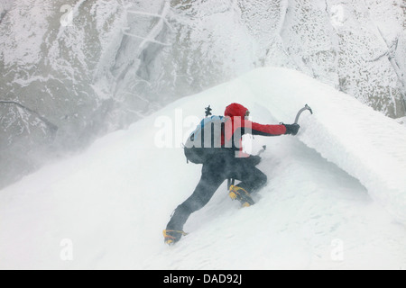 Eisklettern Sie am Aiguille du Midi Chamonix, Haute-Savoie, Französische Alpen, Frankreich, Europa Stockfoto