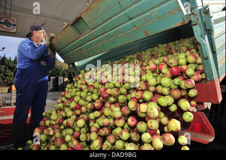 Angestellter der Kühlkeller Presswerk entlädt Äpfel aus einem LKW in den Höfen des Werks in Frankfurt Main, Deutschland, 13. Oktober 2011. Der Entsafter in Hessen erwarten eine gute Apfelernte 2011 durch den warmen Frühling. Obst Pressen in Hessen fertigen Apfelwein (Apfelwein) von rund 65.000 Tonnen Äpfel pro Jahr. Foto: Marc Tirl Stockfoto