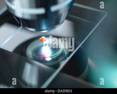 Ein Lichtmikroskop untersucht eine Probe im Labor für die pharmazeutische Forschung Stockfoto