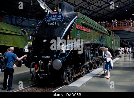Dampfzuglok A4 Pacific Union of South Africa im Great Gathering National Railway Museum York North Yorkshire England Großbritannien Stockfoto