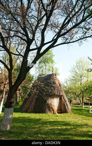 Ukrainischen Dorf im Frühjahr Stockfoto