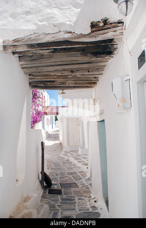 Traditionelle griechische Gasse auf Sifnos Insel, Griechenland Stockfoto