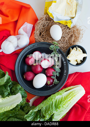 Verlässt Essen Stilleben mit Radieschen, Ei und Salat Stockfoto