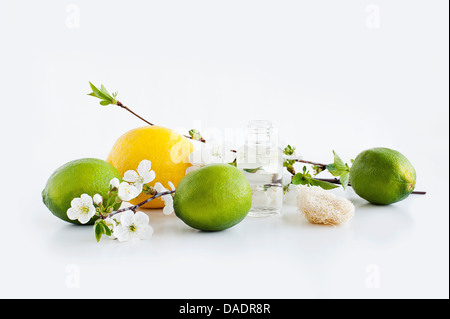 Aromatische Stillleben mit Blüte Zitrone und Limette Stockfoto