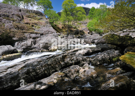 Stromschnellen am Fluss Tywi, RSPB Dinas, Llandovery, zentrale Wales Stockfoto