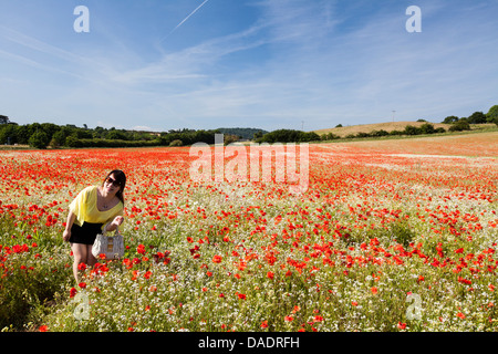 Ein chinesischer Tourist posiert in einem Feld von Mohnblumen in England Stockfoto