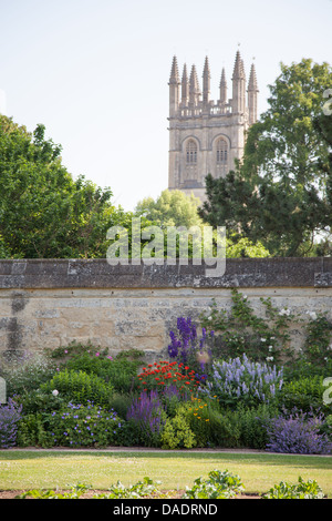 University of Oxford Botanic Garden, Oxford, UK mit Magdalen Tower im Hintergrund Stockfoto