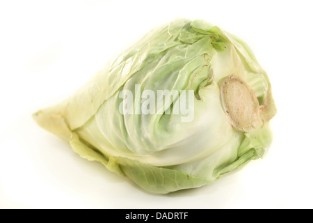 ein roher Kohl vor weißem Hintergrund Stockfoto