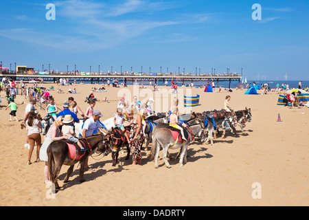 Esel am Strand mit Pier Skegness Lincolnshire england GB Europa Stockfoto