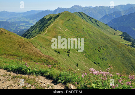 Wanderweg vom Fellhorn, Soellereck, Deutschland, Bayern, Allgäu-Alpen Stockfoto