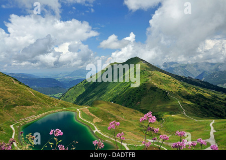 künstlichen Teich, Reservoir für Schneeerzeuger am Fellhorn und Kanzelwand, Deutschland, Bayern, Allgäu Stockfoto