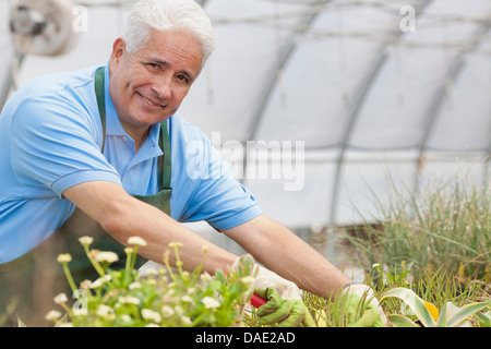 Leitender Gärtner, die auf der Suche nach Pflanzen im Gartencenter, Porträt Stockfoto