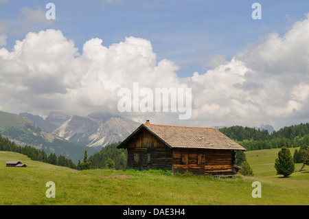 Hütten am Berg Weide vor Alpenpanorama, Italien Stockfoto