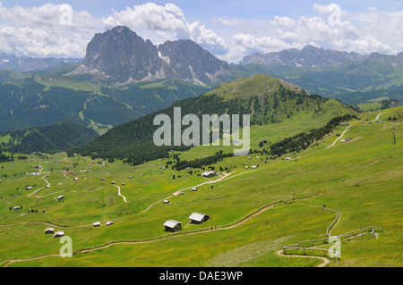 viele Hütten am Berg Weide vor Alpenpanorama mit Langkofel und Plattkofels, Italien Stockfoto