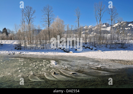 gefrorenen Iller Fluss im Winter, Oberstdorf, Allgäu, Bayern, Deutschland Stockfoto