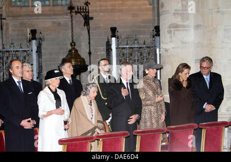 (L-R) Prinz Lorenz, Prinzessin Astrid, Königin Fabiola, Kronprinz Philippe, Kronprinzessin Mathilde Prinzessin Claire, Prinz Laurent Belgien Royals besucht das Te Deum anlässlich der Koningsfeest in der Sint-Michiels-de-Sint-Goedele Kathedrale in Brüssel. Foto: Albert Nieboer / Niederlande, Stockfoto