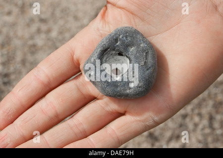 Loch-Addierer Stein mit natürlich vorkommenden Stockfoto