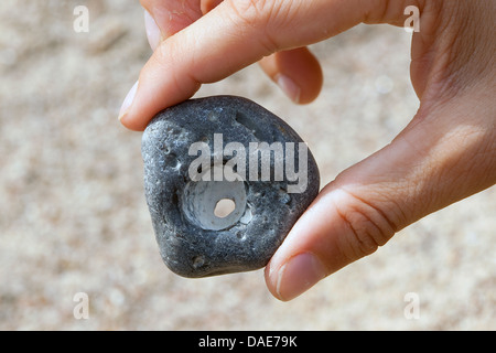 Addierer Stein mit einem natürlich vorkommenden Loch Stockfoto