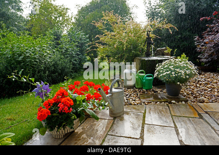 Topfpflanze im Regen auf einer Terrasse im Garten, Deutschland, Nordrhein-Westfalen Stockfoto