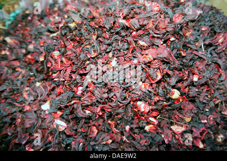 Roselle, rote Sauerampfer, Jamaika Sauerampfer, Florida Cranberry, indische Sauerampfer (Hibiscus Sabdariffa), getrocknete Blütenblätter Fpr Tee, Ägypten, Hurghada Stockfoto